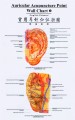 Auricular Acupuncture Point Wall Charts