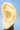 Auricular Acupuncture Model
