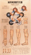 Acupuncture Five Element Acupoint Chart