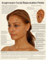 Acupressure Facial Rejuvenation Points Chart