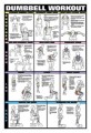 Dumbbell Exercises - Shoulder, Back, Leg, Calf Poster