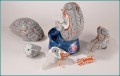 Brain Anatomical Model - Hands-On