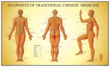 Acupupoints  Chart of  TCM - Male