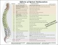 Effects of Subluxation Poster