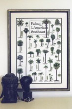 Palms & Cycads of the American Southeast Poster