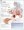 COPD (Chronic Obstructive Pulmonary Disease) Anatomy Poster