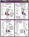 Children Leg Exercise Poster