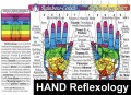 Hand Reflexology Chart