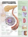 Diabetes 2