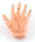 Hand AQcupuncture Model