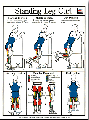 Standing Leg Curl Exercise Poster