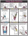 Children Upper Body Stretches Poster