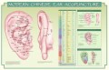 Ear Acupuncture, Modern Chinese