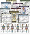 Exercise Posters Male / Female Set