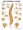 Vertebral Column Poster