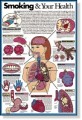 Smoking & Your Health Poster