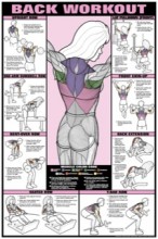 Back Exercise Poster