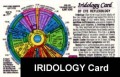 Iridology Reflexology Card