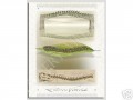 Spinal Metamorphosis Poster