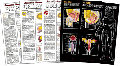 Complete Sex Education Poster Series