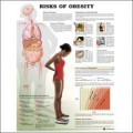 Risks of Obesity Anatomical Poster