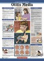 Otitis Media Patient Anatomical Chart