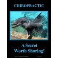 Dolphin Poster