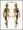 Female Muscular & Skeletal System Anatomy Poster