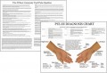 Pulse Diagnosis Acupuncture Chart