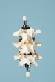 3rd, 4th and 5th Lumbar Vertebral Disc model