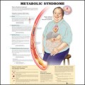 Metabolic Syndrome Anatomical Chart