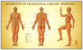 Acupupoints  Chart of  TCM - Male