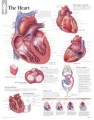 The Heart Poster