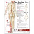 Pain Poster (Entiendo el dolor)