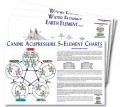 5Th Element Chart Set for Canine