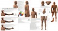 Acupuncture Point Location Study Charts