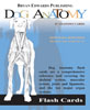 Dog Anatomy Flash Cards