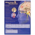 Migraine and Headaches Anatomical Chart, 2nd Edition