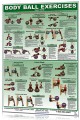 Body Ball Exercises - Upper Body/Lower Body