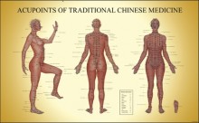 Acupoints of TCM (female) Acupuncture Chart