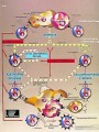 Transplantation Immunology Poster