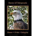 American Eagle Poster
