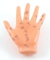 Hand AQcupuncture Model