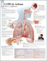 Asthma / COPD Anatomical Chart