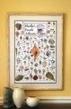 Shells of South Atlantic Coast Poster