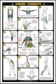 Weight Training Flexibility Poster
