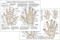 Chinese & Korean Hand Therapy Hand Acupuncture Chart