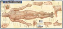 Acupressure Chart