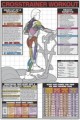 Crosstrainer Workout Exercise Poster