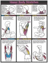 Children Upper Body Stretches Poster